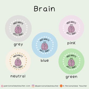 May include: A set of six round stickers with a brain graphic and the text "Miss White Says Well Done!" in a circle of stars. The stickers are in six different colors: grey, neutral, blue, pink, green, and white.
