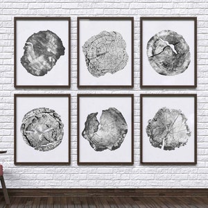Set of 6/TREE RING PRINT/ 18x24/ink Blot/Log Rings/ Black and White/Wood/Tree Art/Tree Print/Gift for Home/instant download/Log Slice