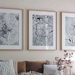 Set of 3 Nordic Prints Black Tree Ring Print  Tree Stump Prints Tree Ring Art Abstract art print Modern Neutral Abstract Tree Rings Wall Art