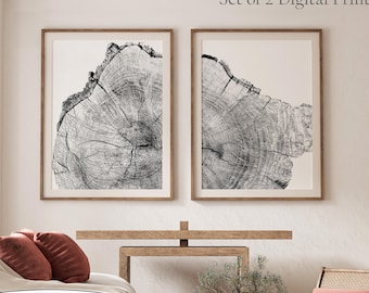 Könnte beinhalten: Ein Set aus 2 digitalen Drucken mit schwarz-weißen Illustrationen von Baumring-Querschnitten. Die Kunstwerke sind in zwei rechteckigen Rahmen mit dünnen Holzrändern präsentiert und zeigen detaillierte Maserungen.