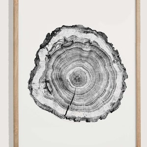 woodcut print, Tree Ring Print of stump, Tree ring print, Handmade print, Tree ring art, Black and White, First Anniversary Gift, Woodblock