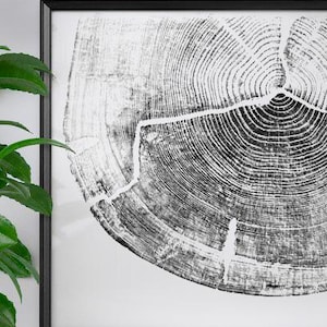 Detailed imprint of old tree,Cross section of a tree trunk with tree rings,Linocut Print,Tree Ring Print,Tree ring art,Wood Stamp Printables