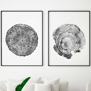 Set of 2 Prints, Tree Ring Print,  Black and White Tree Print, Printable Pine Tree, Anniversary Gift, 16 x 20, Wood Prints, Log Slice, 8x10