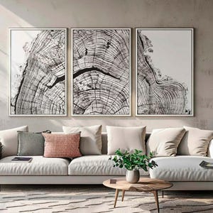 Peut inclure: Un salon moderne avec un canapé blanc, des coussins et une table basse en bois. Trois œuvres encadrées présentent des coupes transversales détaillées d'un tronc d'arbre. Des plantes en pot ajoutent une touche naturelle.