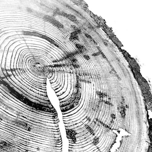 Tree Ring Print of stump, Tree ring print, woodcut print, Handmade print, Tree ring art, Black and White, First Anniversary Gift, Woodblock