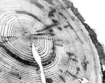 Tree Ring Woodcut Print: Black and White Stump Art (Digital Download)
