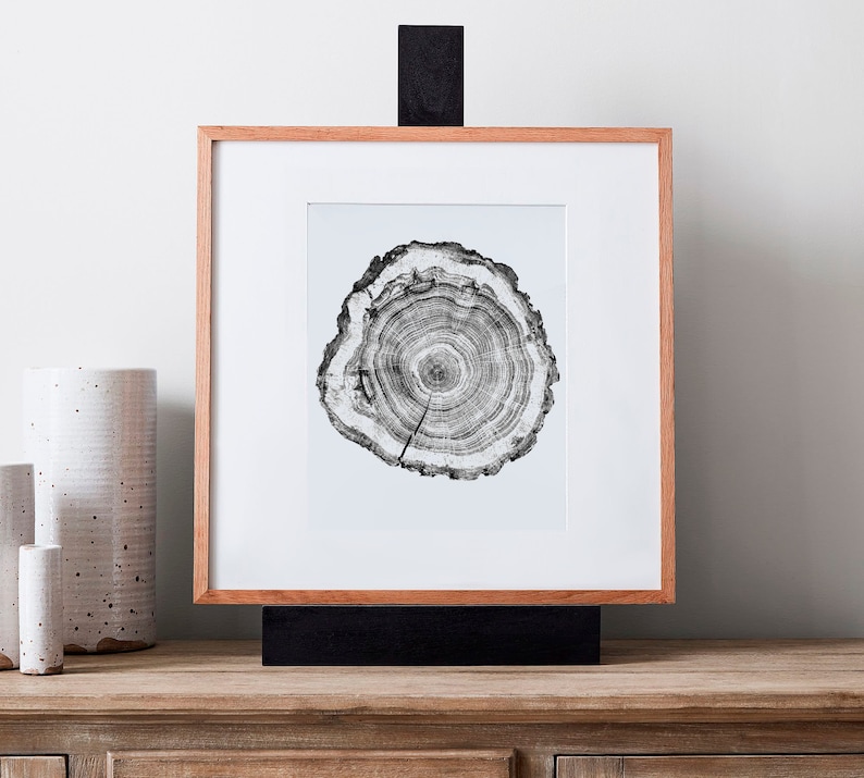 Tree Ring Woodcut Print: Black and White Stump Art (digital Download ...