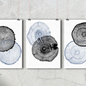 Tree Ring Print Set: Black, White & Blue Wood Slice Art (Digital Download)