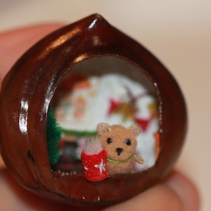 Nut Shell Diorama: Tiny Fairy House with Micro Bear