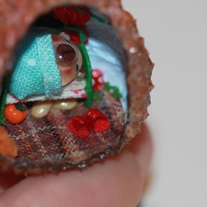 Nut Shell Diorama: Tiny House with Micro Bear