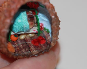 Nut Shell Diorama: Tiny House with Micro Bear