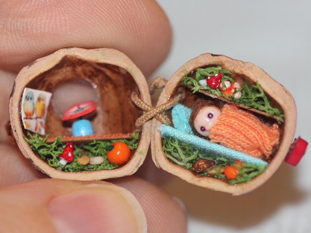 Walnut Shell Dollhouse, Miniature Hazelnut World - Etsy