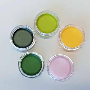 May include: Five small, clear jars with silver lids, each filled with a different shade of colorful cream. The colours include shades of green, yellow, and pink. The jars are arranged in a circular pattern on a white surface.