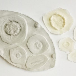 Special FX Makeup Plaster Mold to Make Your Own Wound Bullet Hole Latex Kit with Latex