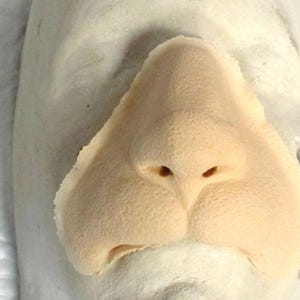 May include: A prosthetic nose in a light beige hue, featuring a textured surface. It's affixed to a pale grey face form. The nostrils and the form of the nose are clearly defined, showing a realistic appearance.