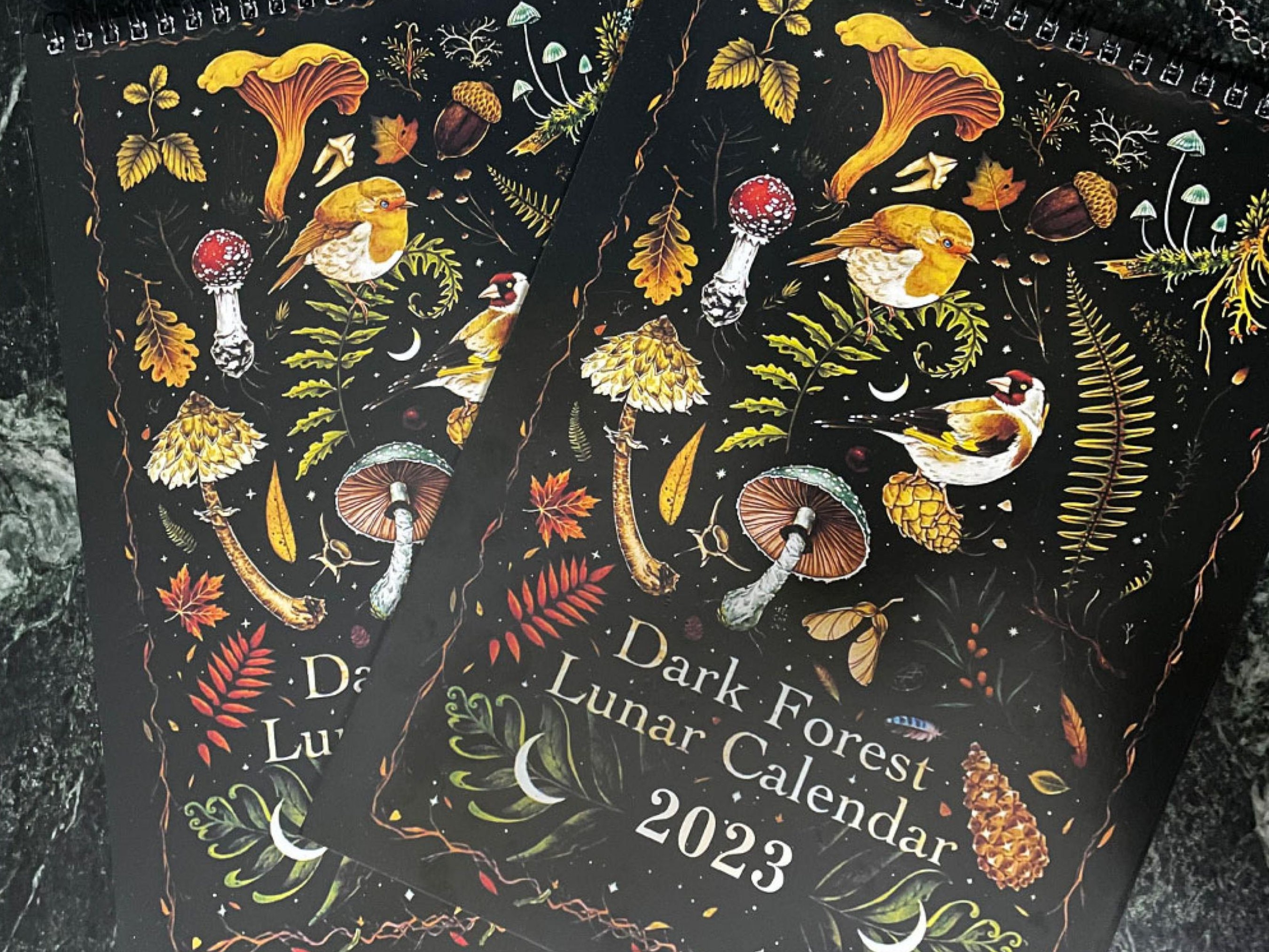 Moon Calendar 2023 Dark Forest Lunar To Start The New Year Mysterious