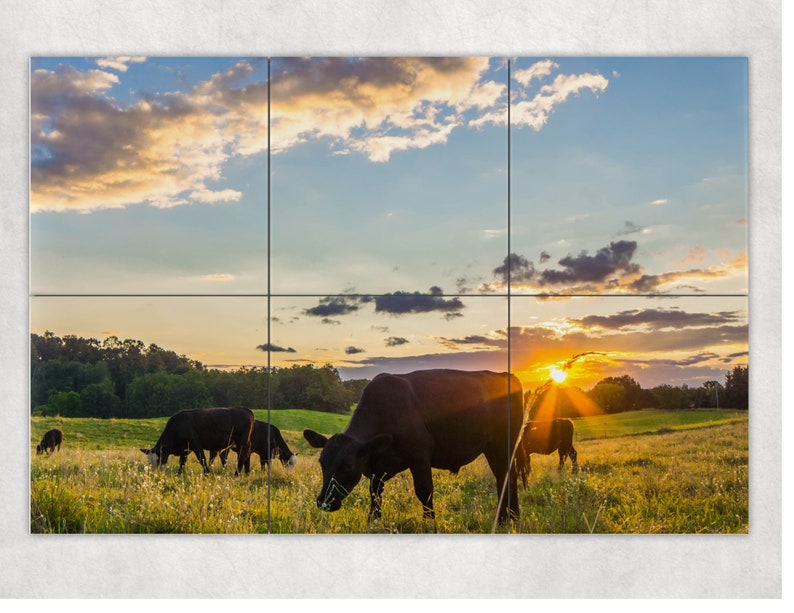 Cow Scene Wall Tiles Tiles for Walls Kitchen Tiles Bathroom Etsy