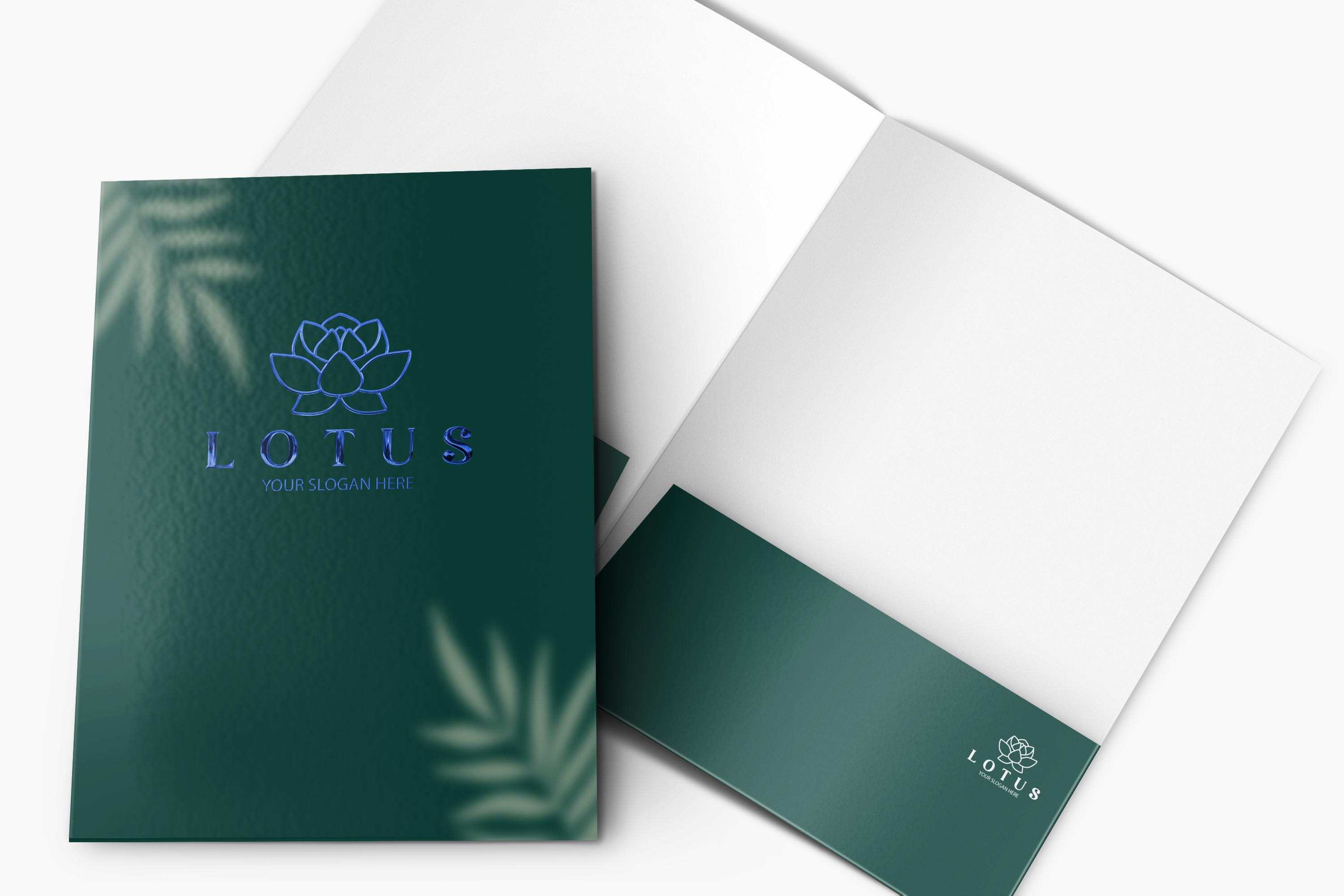 Carpeta Deluxe Para Monedas Presidential Dollar 2007-2016 - 50 Ranuras, 14x12 Pulgadas, Coleccionismo