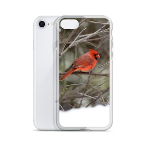 Red Cardinal iPhone Case iPhone 14 iPhone 13 Pro Max iPhone 11 Pro case iPhone 12 Mini iPhone xr iPhone 7 8 iPhone SE2020