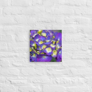 Purple Hydrangea Canvas | décor for home & office | canvas ready to hang