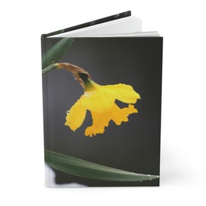 Daffodil in the Snow Hardcover Journal Matte