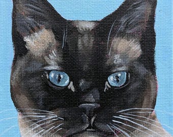 Siamkatze Druck