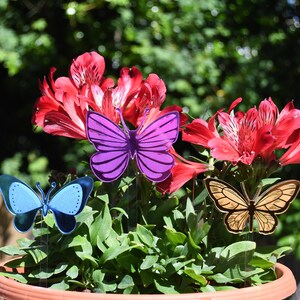 Butterfly Plant Stakes Set, Gardening Gift, Plant Gift, Garden Decor, Plant Decor, Gift for her, Indoor Plant, House plant, Potted Plant image 3