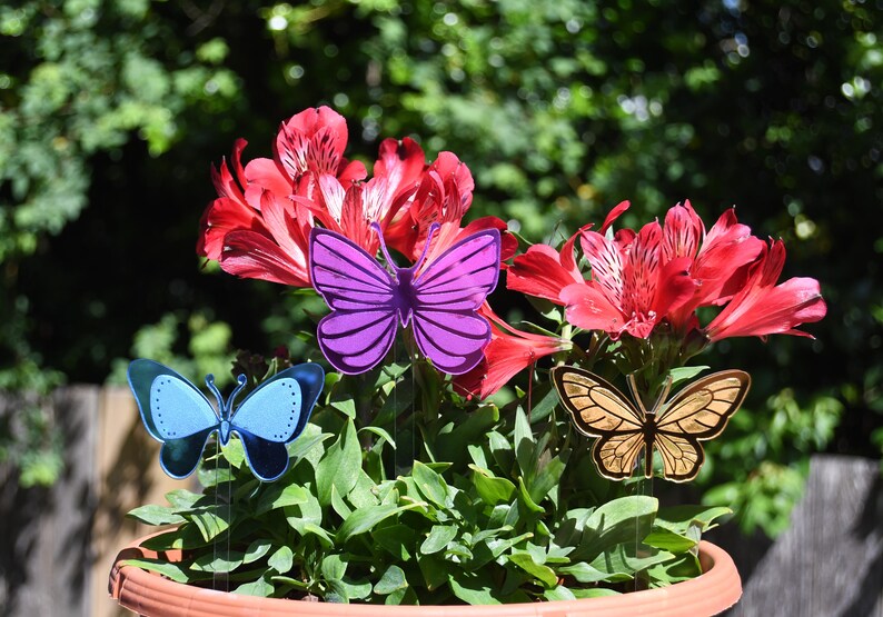 Butterfly Plant Stakes Set, Gardening Gift, Plant Gift, Garden Decor, Plant Decor, Gift for her, Indoor Plant, House plant, Potted Plant image 3