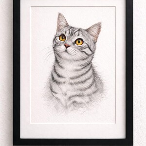 Digital download Tabby Cat Sketch Print, Minimalist Cat Wall Art, Black Frame Cat Drawing, Modern Animal Art, Neutral Home Decor, Cat Lover Gift, (Download)