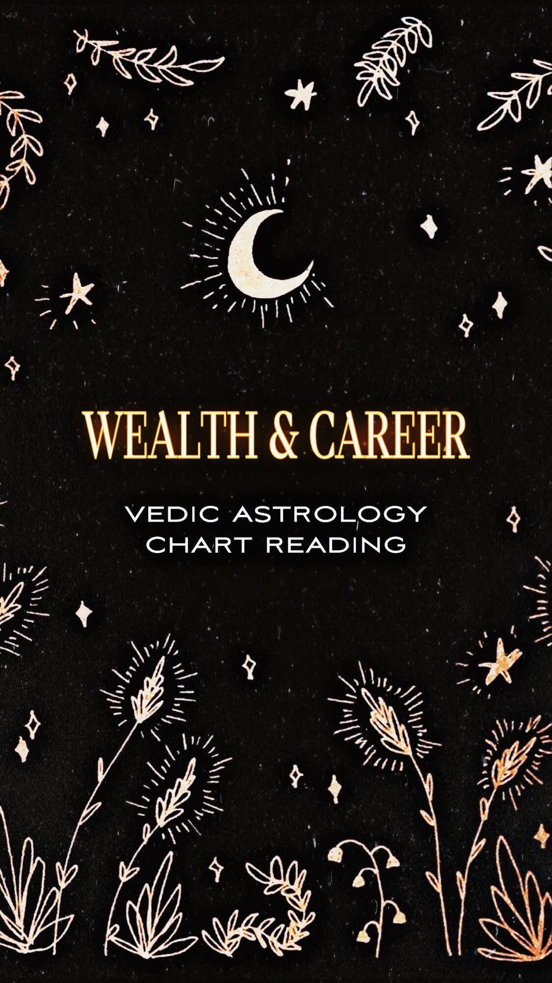 Wealth & Career Vedic Astrology Chart Reading. Personal Finances