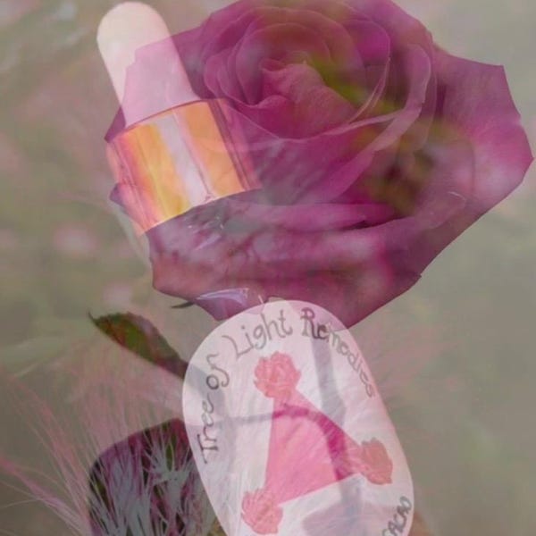 BOBINSANA, CACAO + ROSE Guérisseur cardiaque - Teinture de bobinsana, de rose et de cacao - Médecine chamanique des plantes d'Amazonie