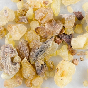 Frankincense Aden, incense for burning on charcoal or in an incense burner, 1A quality, frankincense, Boswellia Carterii