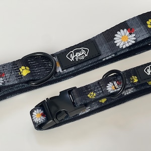 Oopsie Daisies Soft Adjustable Dog Collar, Daisies, Black Dog Collar, Cat Collar, Floral, Floral Dog Collar, Yellow Dog Collar, Daisy Collar