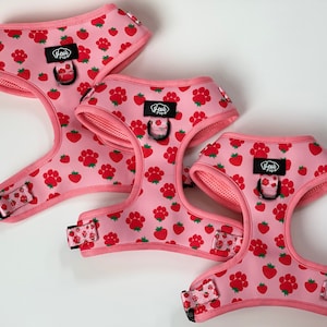 May include: Three pink dog harnesses with a strawberry and paw print pattern. The harnesses have adjustable straps and a black metal D-ring. The harnesses are labelled "Paw's Pup".