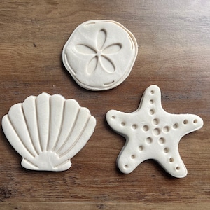 Summer Beach Theme Cookie Cutter and Stamp Set - Seashell - Sand Dollar - Starfish - Vacation - Custom Cookies