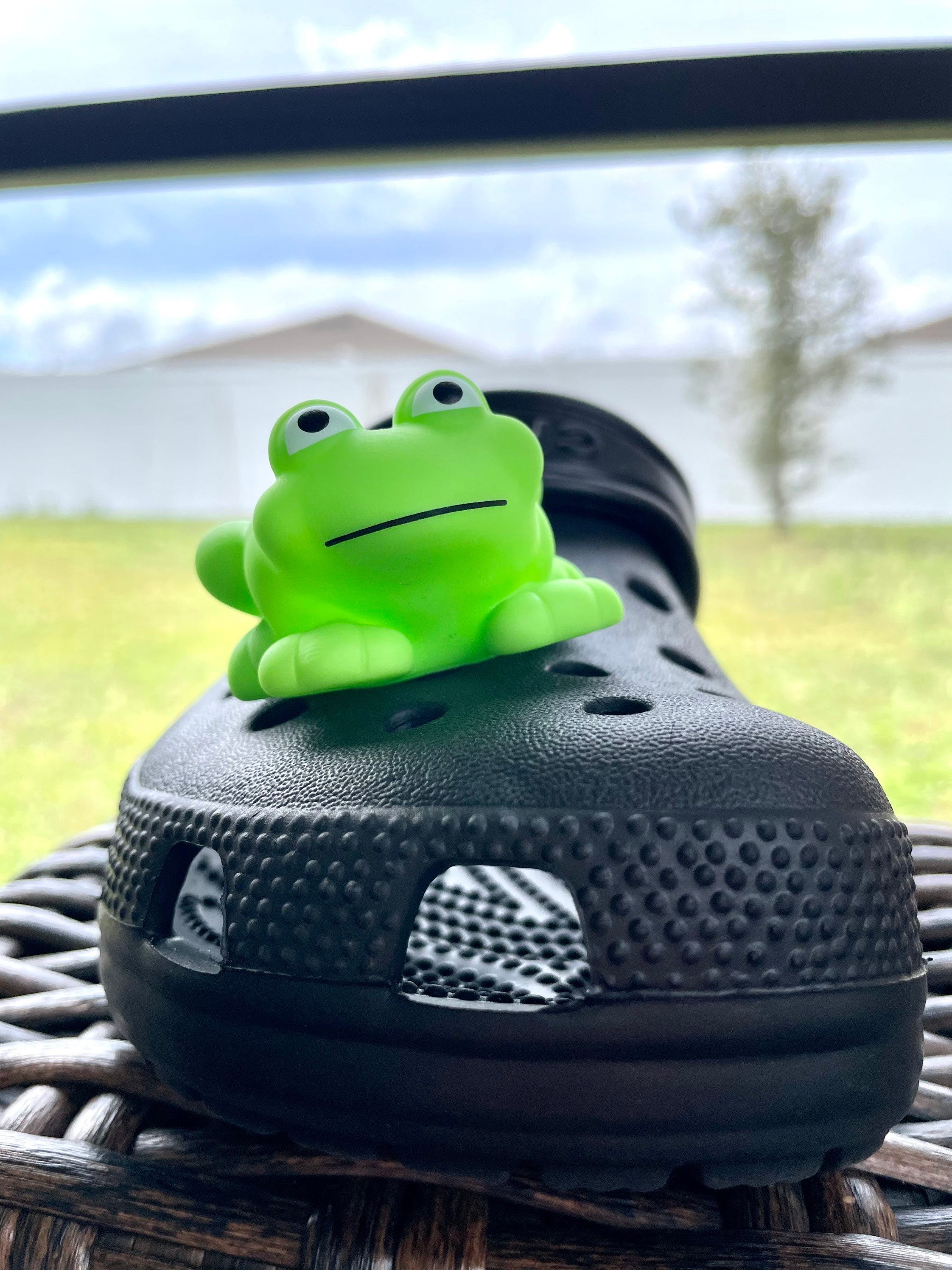 Frog Shoe Charm Frog Croc Charm Jibbitz Shoe Accessories - Etsy Canada