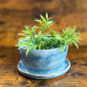 Handmade ceramic planter | Wheel thrown planter | Succulent planter