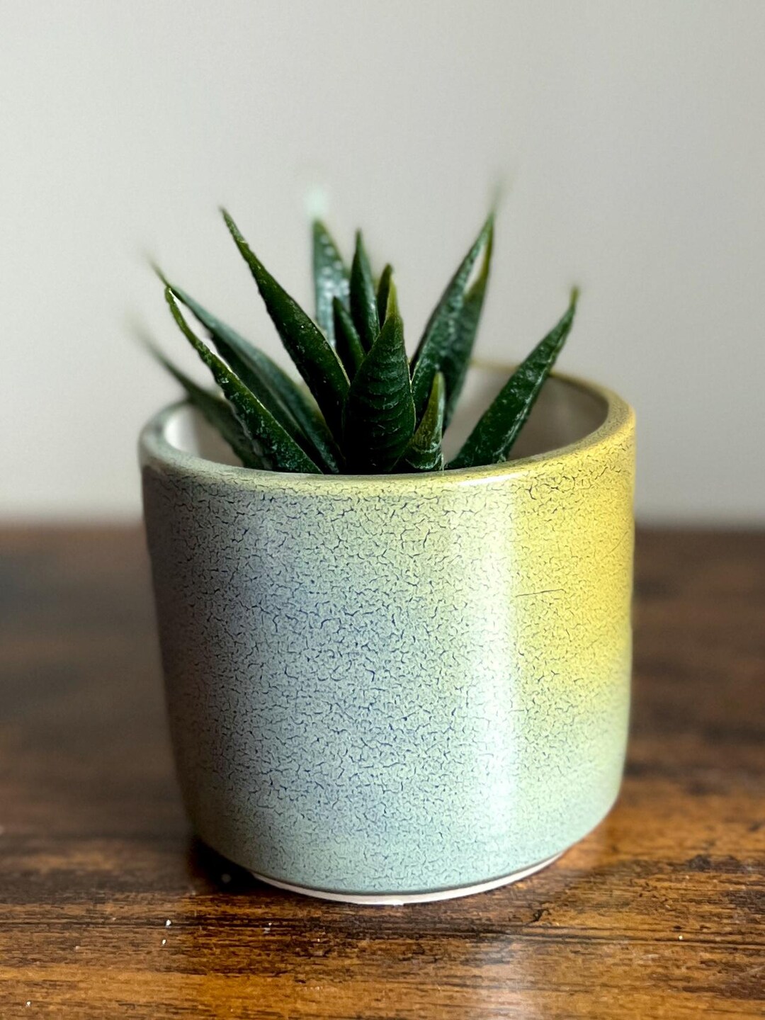 Handmade Ceramic Succulent Planter: Wheel Thrown Pottery - Etsy