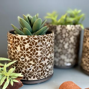 May include: A ceramic flower pot with a brown floral pattern, holding a green succulent plant. The pot is cylindrical with a dark brown base. Other pots with similar patterns are in the background.