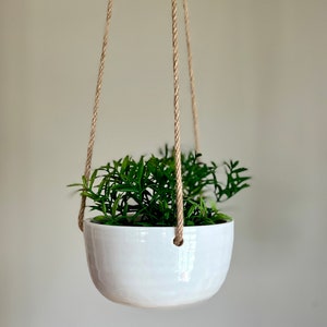 Wheel Thrown Ceramic Hanging Planter: Succulent Planter with Rope