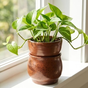 Self Watering Flower Pot | Handmade Ceramic Planter | Terracotta Olla Pot | Indoor Plant Watering System | Herb Planter | Housewarming Gift