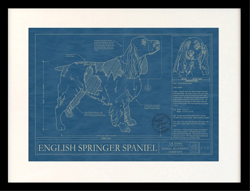 ENGLISH SPRINGER SPANIEL Blueprint, Dog Art, Mid-Century Art, Dog Lover Gift, Museum Quality Print, Unique Gift, Personalization Available