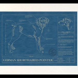 GERMAN SHORTHAIRED POINTER Blueprint, Dog Art, Mid-Century Art, Dog Lover Gift, Museum Quality Print, Unique Gift, Personalization Available