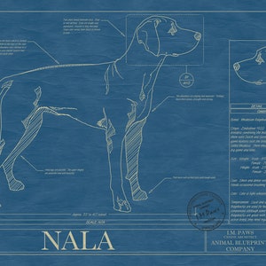 RHODESIAN RIDGEBACK Blueprint, Dog Art, Mid-century Art, Dog Lover Gift ...