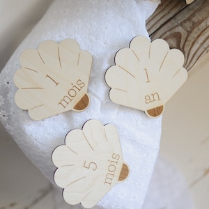 Cartes étapes bois coquillage