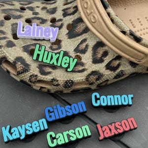 Customized Croc Charms