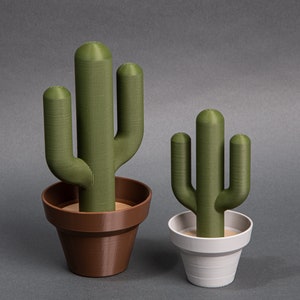 May include: Two green cactus plants in brown and white pots. The larger cactus is in a brown pot and the smaller cactus is in a white pot.