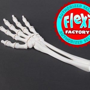 Flexi Factory Skeleton Arm 3D Printed Full Size Arm