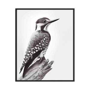 Woodpecker Black and White Animal Art Print, Wall Art Poster, Original Paint Artwork, Artwork Decor