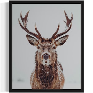Deer Animal Wildlife Art Print, Wall Art Poster, Original Paint Artwork, Artwork Decor